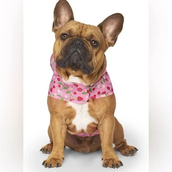 CANADA POOCH PICK ME STRAWBERRY PONCHO SIZE 12 - Picture 3 of 5